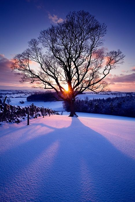 Snow Sunset