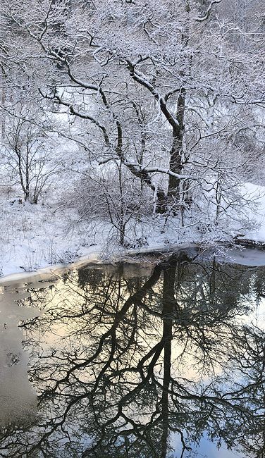 Halves by eswendel on DeviantArt