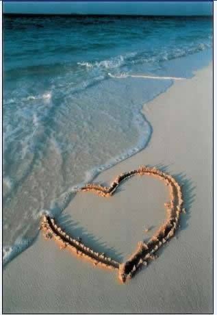 499c4413-cdbc-481b-9caa-31111f7d33f7