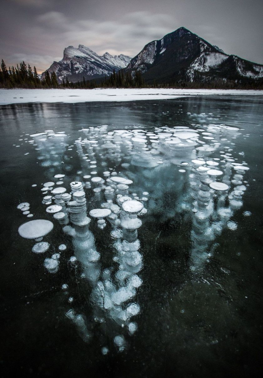 Frozen bubbles in Canadian lakes - in pictures
