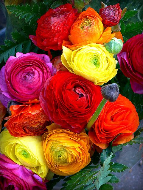 bright bouquet