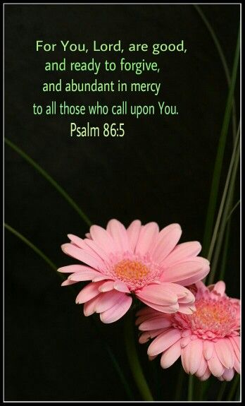 f81618ec-1d10-4b82-a23e-75bc93e40114