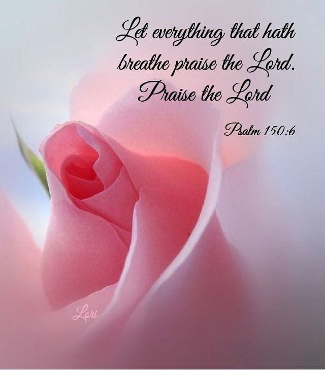 Haute Couture et Coiffure on Instagram_ “Psalm 150…