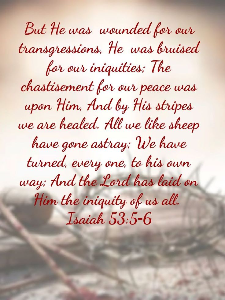 Spiritual Rescue The Birth of Jesus: Our Bridge of Spiritual Rescue – Steps 2 Success ...